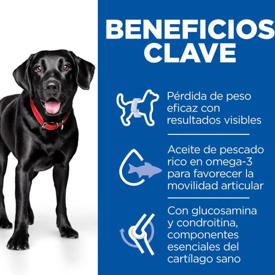 Hill's Science Plan Perfect weight y Active Mobility pollo pienso para perros grandes