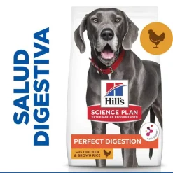 Hill's Science Plan Perfect Digestion Adult large Pollo pienso para perros Best