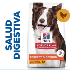Hill's Science Plan Perfect Digestion Adult Medium Pollo pienso para perros Sale