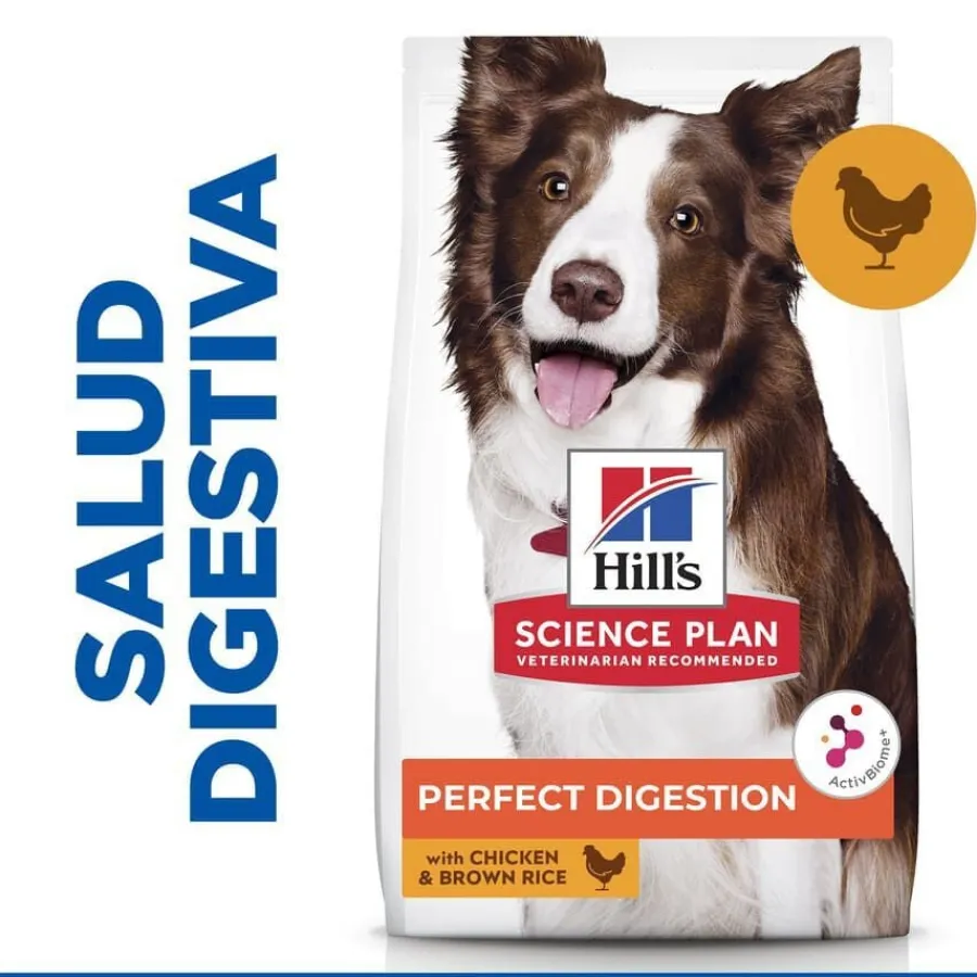 Hill's Science Plan Perfect Digestion Adult Medium Pollo pienso para perros Sale