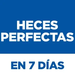 Hill's Science Plan Perfect Digestion Adult Medium Pollo pienso para perros Sale