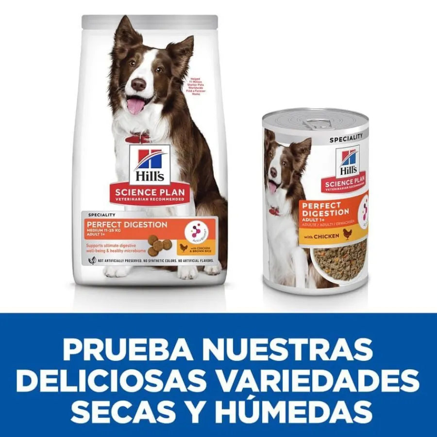 Hill's Science Plan Perfect Digestion Adult Medium Pollo pienso para perros Sale