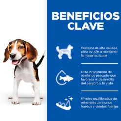 Hill's Science Plan Puppy Ternera en Paté lata para perros Clearance