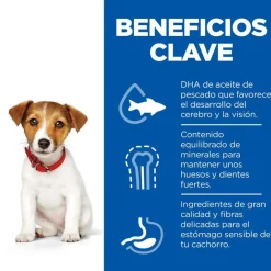 Hill's Science Plan Puppy Small y Mini Pollo Pienso para cachorros Sale