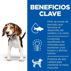Hill's Science Plan Puppy pollo lata para perros
