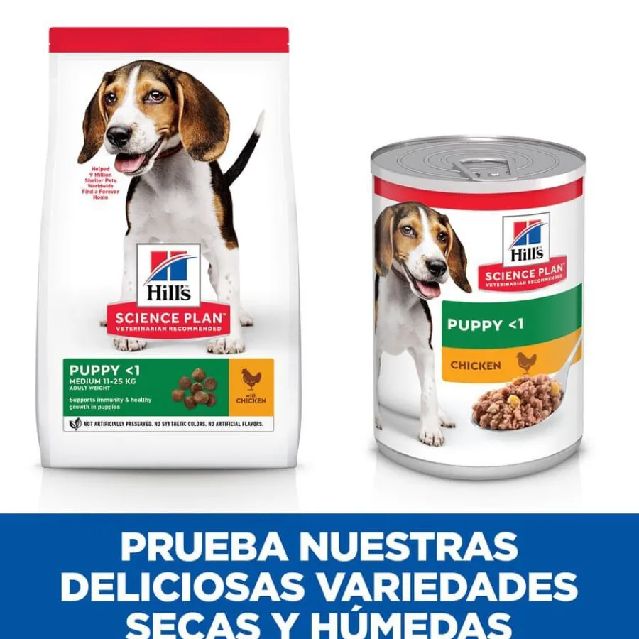 Hill's Science Plan Puppy pollo lata para perros
