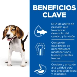 Hill's Science Plan Puppy Medium Cordero y arroz Pienso para perros Discount
