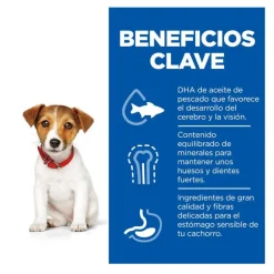 Hill's Science Plan Puppy Small y mini Cordero y arroz para perros Best