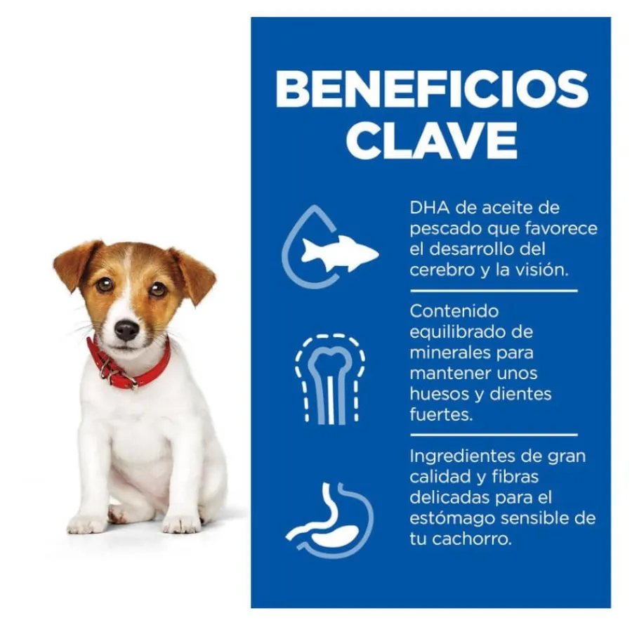 Hill's Science Plan Puppy Small y mini Cordero y arroz para perros Best