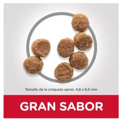 Hill's Science Plan Puppy Small y mini Cordero y arroz para perros Best