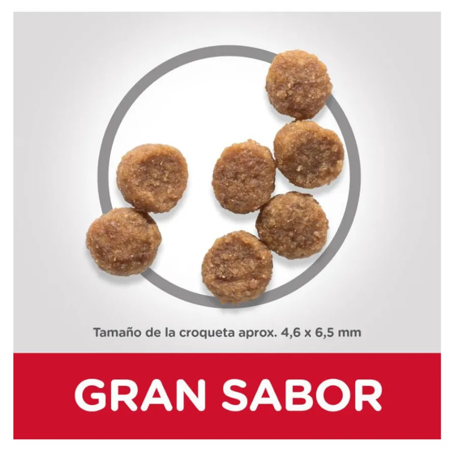 Hill's Science Plan Puppy Small y mini Cordero y arroz para perros Best