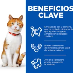 Hill's Science Plan Sterilised Adult Salmón pienso para gatos Outlet