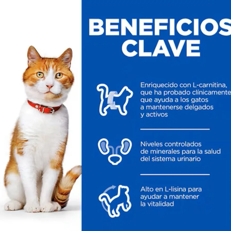 Hill's Science Plan Sterilised Adult Salmón pienso para gatos Outlet