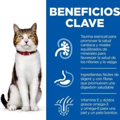 Hill's Science Plan Sterilised Carne y Pescado sobre para gatos Multipack Outlet