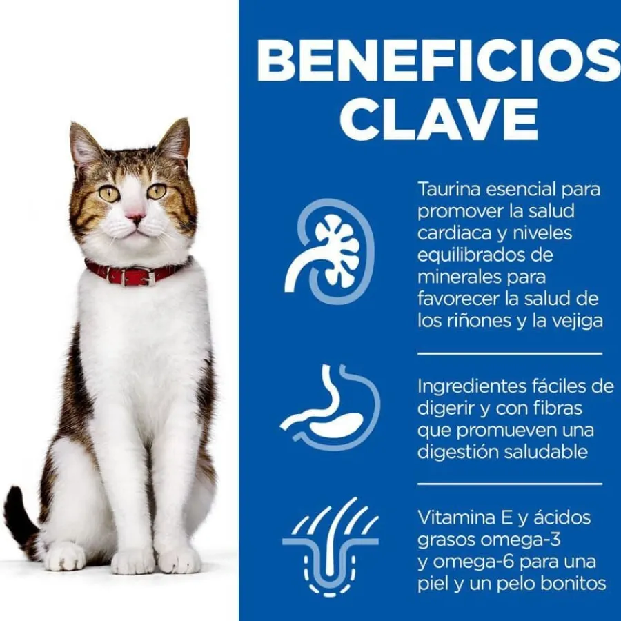 Hill's Science Plan Sterilised Carne y Pescado sobre para gatos Multipack Outlet