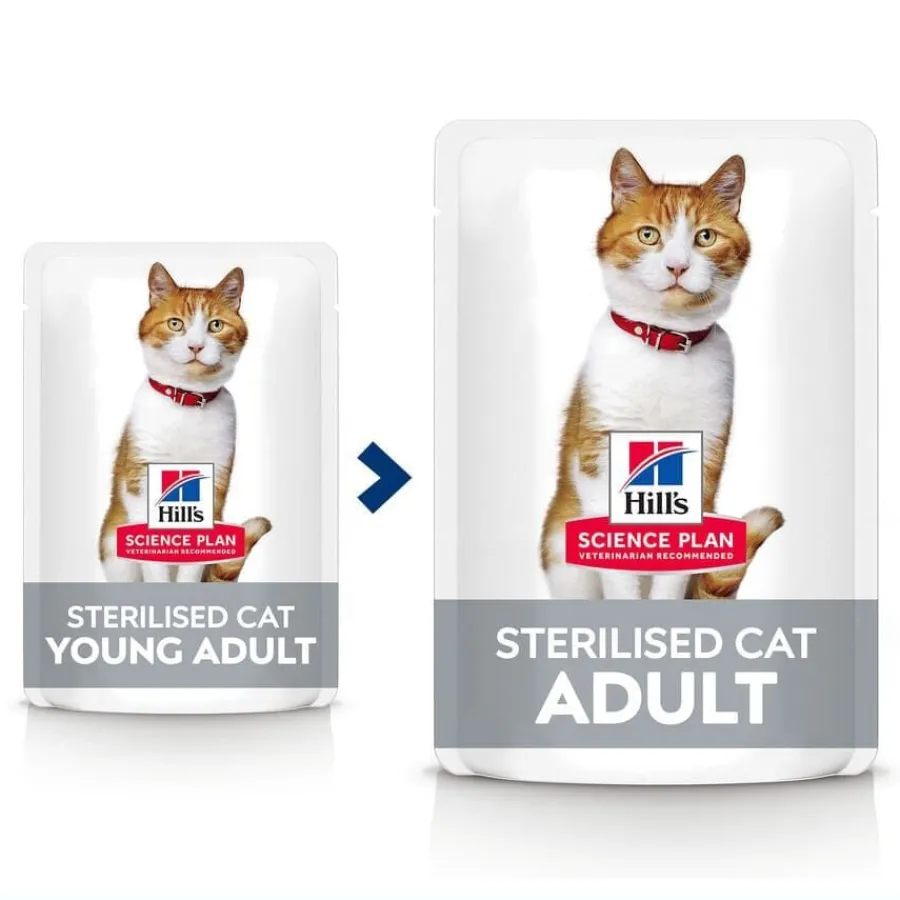 Hill's Science Plan Sterilised Carne y Pescado sobre para gatos Multipack Outlet