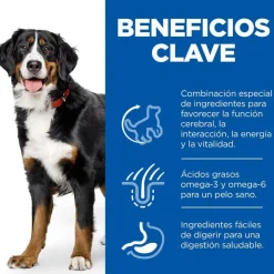 Hill's Science Plan Youthful vitality Large pienso para perros Clearance
