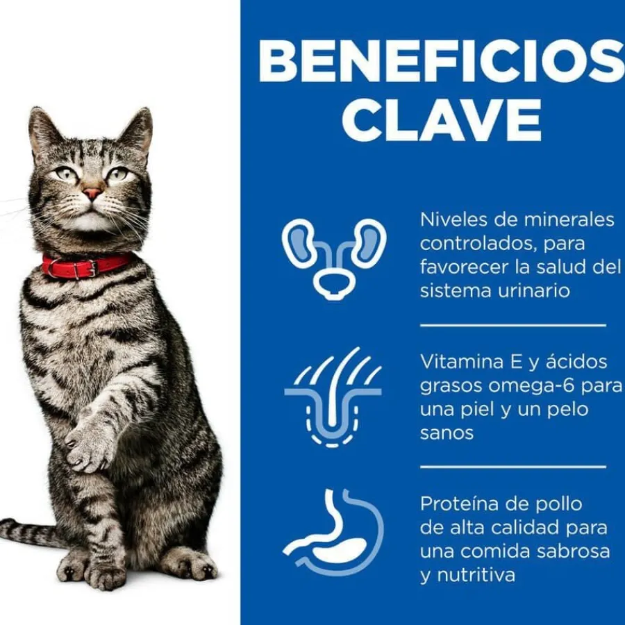 Hill's Urinary Pollo pienso para gatos New