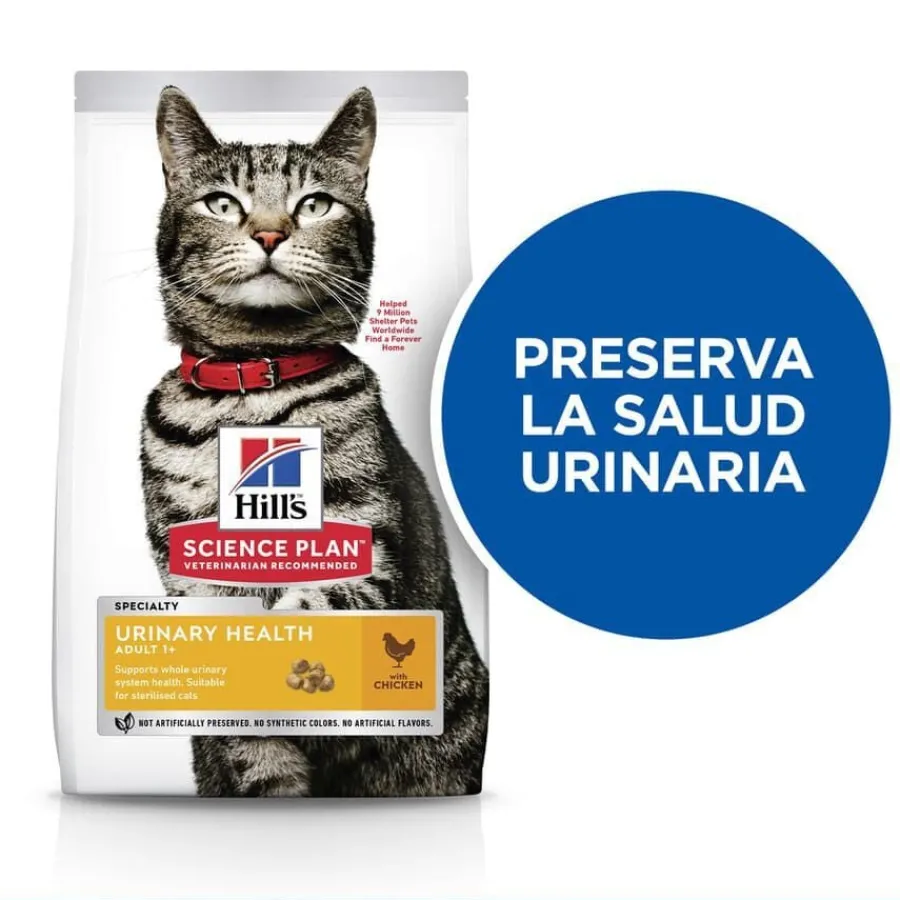 Hill's Urinary Pollo pienso para gatos New