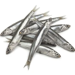Hobbitalf La Pescadería Boquerones para perros Hot