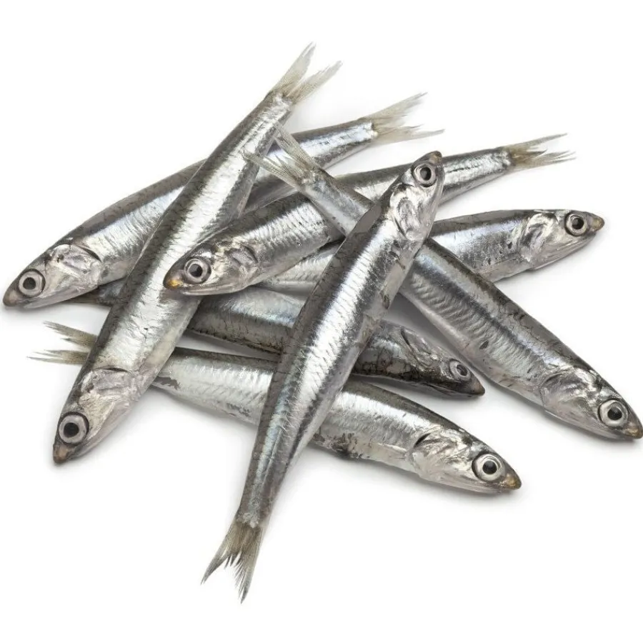 Hobbitalf La Pescadería Boquerones para perros Hot
