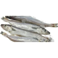 Hobbitalf La Pescadería Lirios para perros Hot