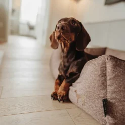 Hunter Boston Cozy Cama Marrón para perros Outlet