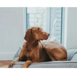 Hunter Lancaster Cama Gris para perros Outlet