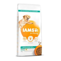 IAMS for Vitality Adult Light Pollo pienso para perros Best