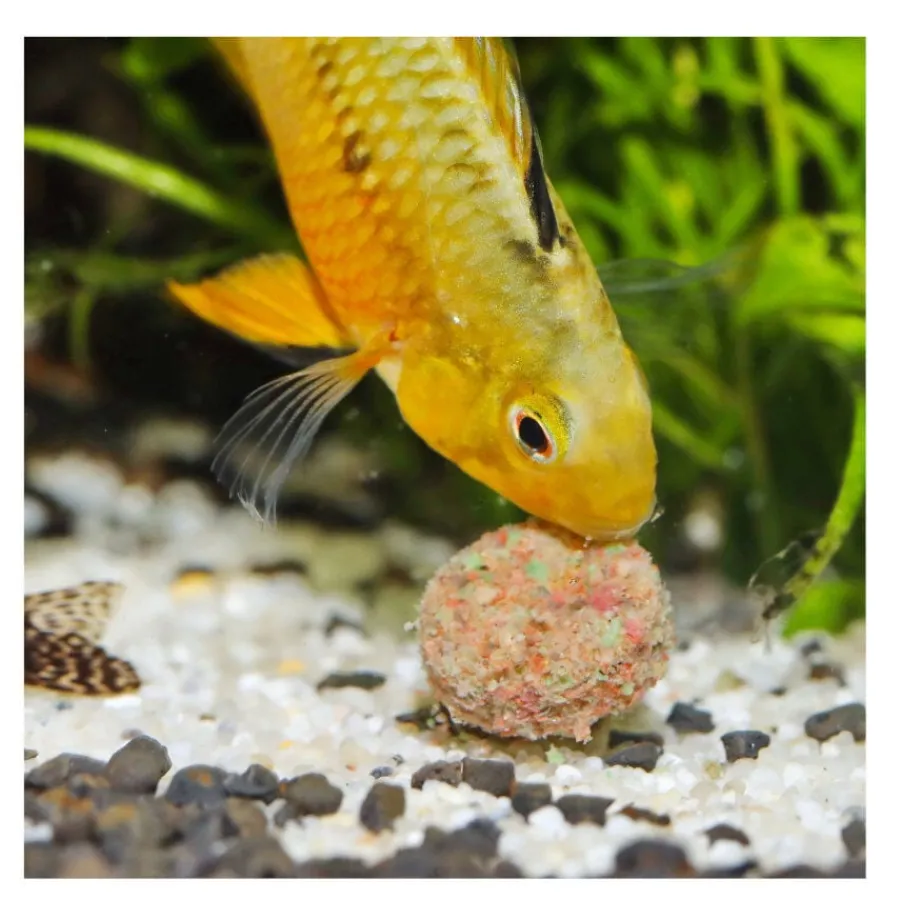 JBL Novotab Pastillas para peces Sale