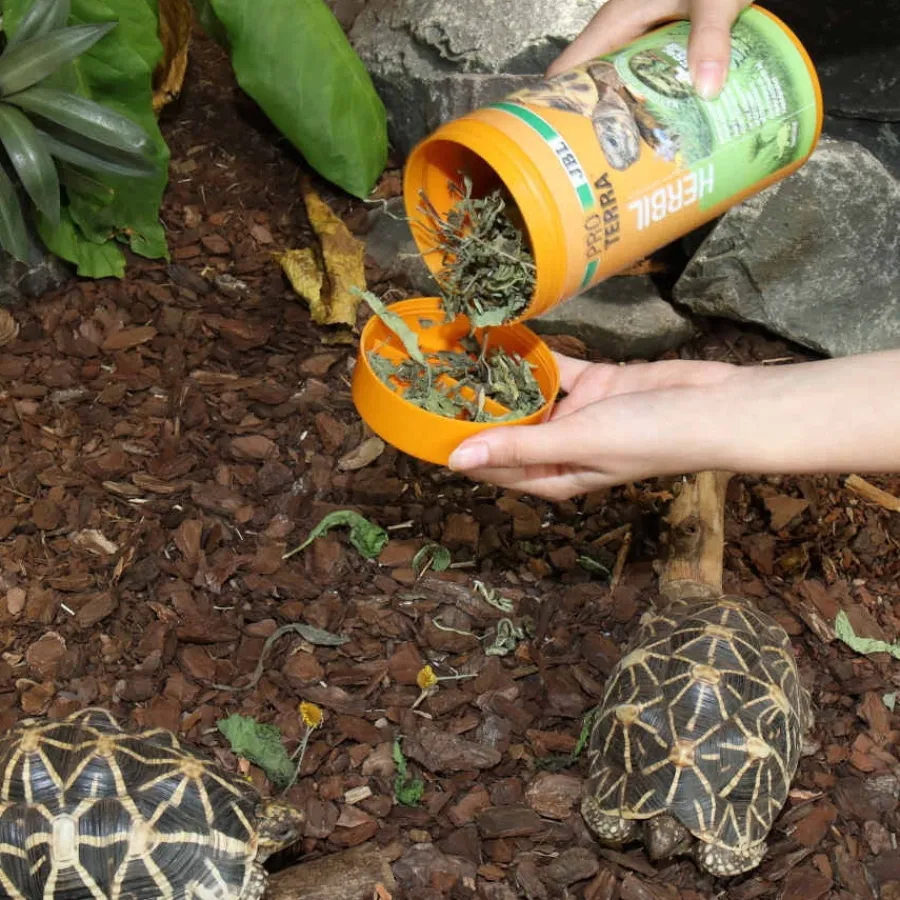 JBL Proterra Herbil alimento para tortugas Clearance