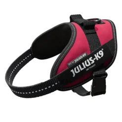 Julius-K9 Julius K-9 IDC Arnés Magenta para perros Online