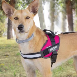 Julius-K9 Julius K-9 IDC Arnés Magenta para perros Online