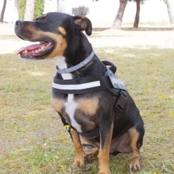 Julius-K9 Julius K-9 IDC Arnés Verde para perros Hot