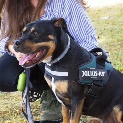 Julius-K9 Julius K-9 IDC Arnés Verde para perros Hot