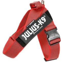 Julius-K9 Julius K9 IDC Beltharness Arnés Rojo para perros New