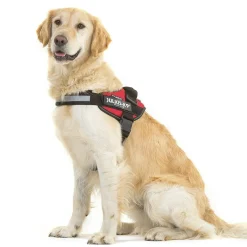 Julius-K9 IDC Arnés Rojo para perros Outlet