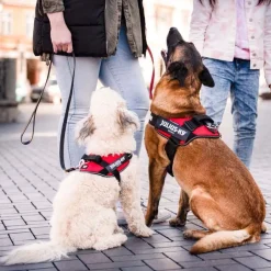 Julius-K9 IDC Arnés Rojo para perros Outlet