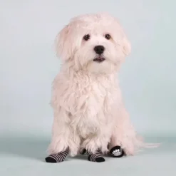 Flamingo Karlie Calcetines Negro y Gris para perros Hot