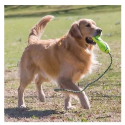 Kong Air Dog Squeaker Stick de juguete para perros Sale