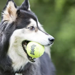Kong Air Pelota de tenis con sonido para perros Sale