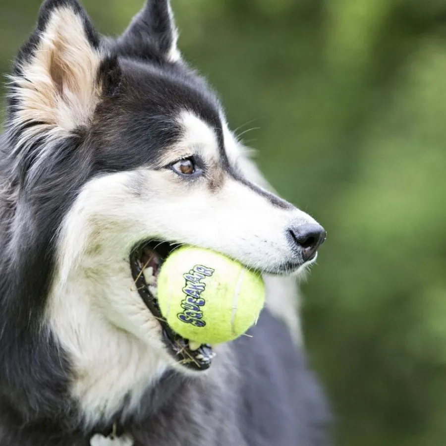 Kong Air Pelota de tenis con sonido para perros Sale