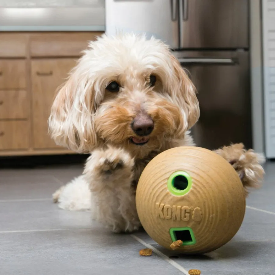 Kong Bamboo Pelota Portagolosinas para perros Sale