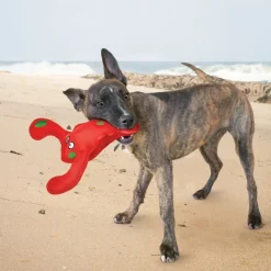 Kong Belly Flops Langosta de juguete para perros Best