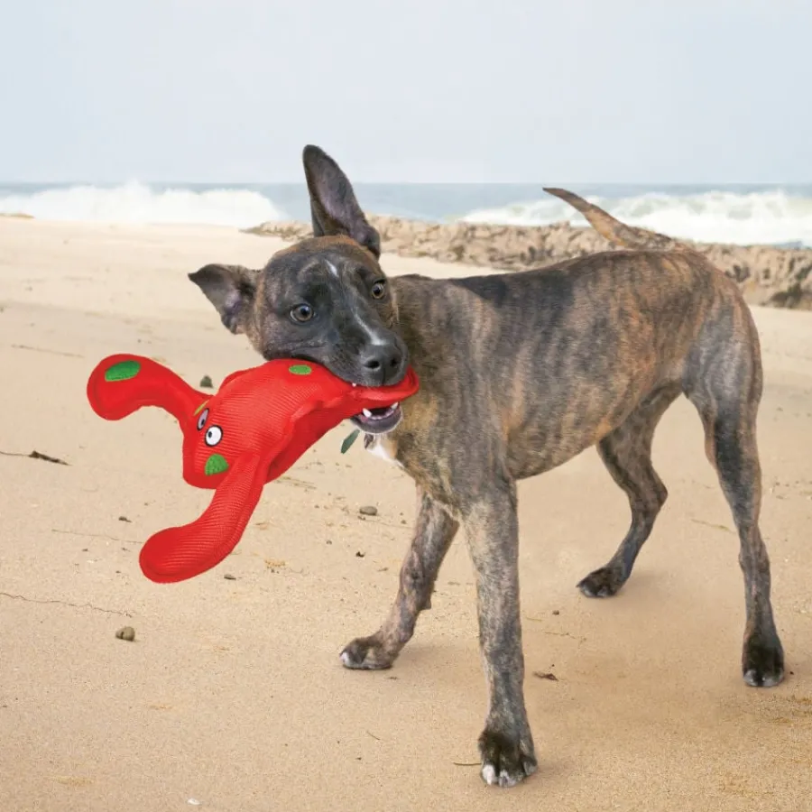 Kong Belly Flops Langosta de juguete para perros Best