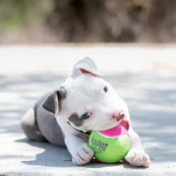Kong Birthday SqueakAir pelotas para perros Sale