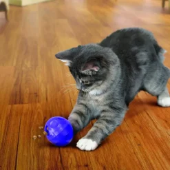 Kong Bola Dispensadora de Premios para gatos