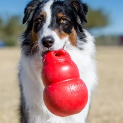 Kong Bounzer Juguete rojo para perros