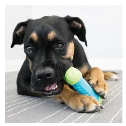Kong Corestrength Hueso para perros