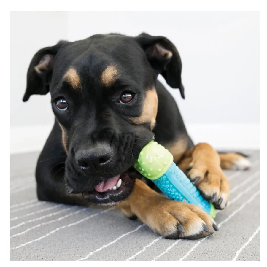 Kong Corestrength Hueso para perros